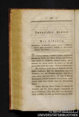 Zwanzigstes Kapitel. Von Kastanien.