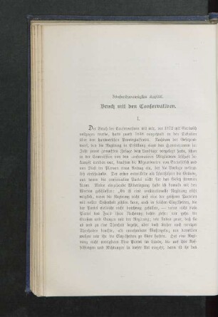 Fünfundzwanzigstes Kapitel. Bruch mit den Conservativen