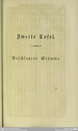 Zweite Tafel - Beschlagene Stämme