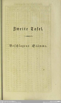 Zweite Tafel - Beschlagene Stämme
