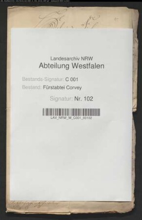 Reichstagsberichte