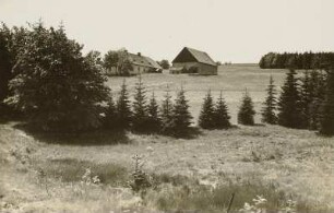 Langewiese (heute Osek-Dlouhá Louka / Tschechien). Einzelgehöft (729 m)