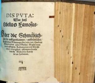 Dispvta: Was heist Libellus Famosus? : Wider die Schmebüchlein der auffgeblasener ... Rottengeister diser zeit ...