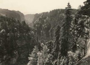Elbsandsteingebirge. Polenztal. Blick von einem Felsvorsprung am Hockstein nach Süden
