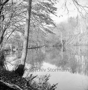 Kupfermühle: Kupfermühlenteich: vorn links Bäume: hinten Wald