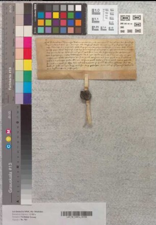 Lehnrevers des Dietrich von Germessen über die ihm vom Abt Franz von Corvey verliehenen Güter.