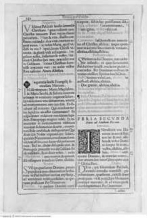 Missale Romanum di Alessandro VII., Folio 242 verso: Text