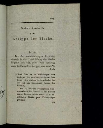 Fünfter Abschnitt. Vom Gerippe der Fische