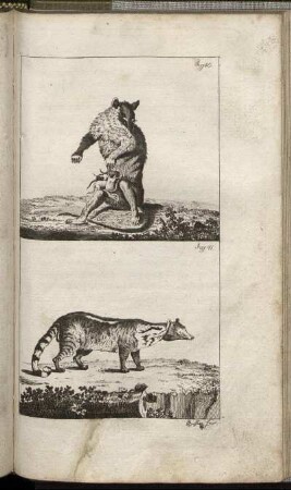 Fig. 40. - Fig. 41.