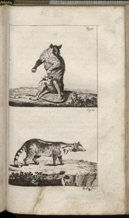 Fig. 40. - Fig. 41.