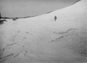 Schneefelder : Schneefelder am Gipfel des Pico del Teide