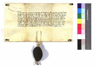 Abt Johann zu Ellwangen belehnt Schenk Konrad zu Limpurg mit dem Mantel (Burgfried) an dem Schloss zu Schmiedelfeld und dem Hofe zu Zimmerberg.
