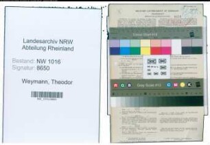 Entnazifizierung Theodor Weymann , geb. 09.06.1875 (Postoberschaffner)