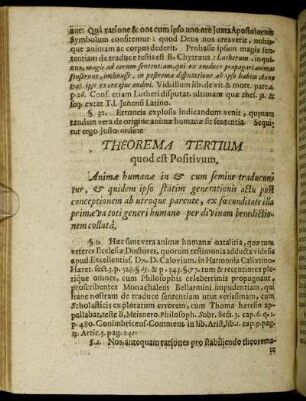 Theorema Tertium quod est Positivum.