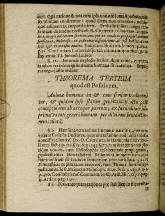 Theorema Tertium quod est Positivum.