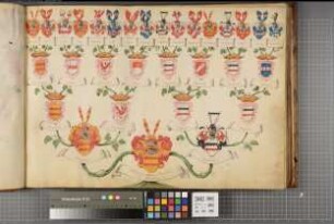 Proband: Fürstenberg, Ferdinand Anton von; Vater: Fürstenberg, [Ferdinand] von; Mutter: Westphalen, [Maria Theresia] von: Paderborn, Domkapitel