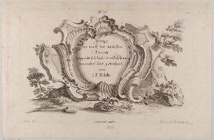 Eine Rocaille-Kartusche mit Titel, Titelblatt der Folge "Einige und nach der neuesten Façon eingerichtete Vassi oder Geschirr"