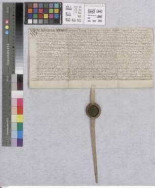 Neckarsteinach: Neckarsteinacher Gültbrief