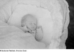 Porträt eines Babys im Kinderwagen