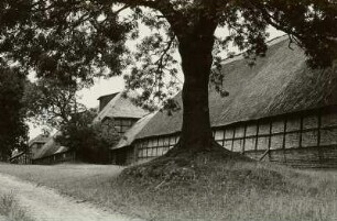 Insel Rügen. Rittergut Ruschwitz. Scheunen