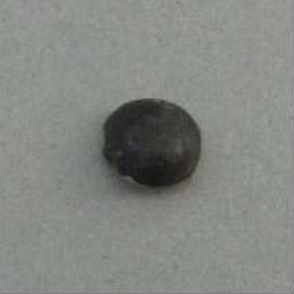 Stone bead (fragment)