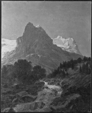 Wildbach im Gebirgstal