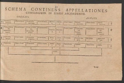 Schema Continens Appellationes Consanguin. In Linea Ascendente.