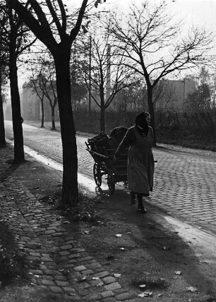 Nürnberg-Thon. Dorfstraße mit Frau und Ziehwagen