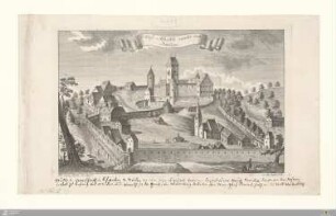 Schloss Albeckh sambt dem Stättelein