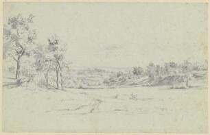 Wiesenlandschaft mit Bäumen
