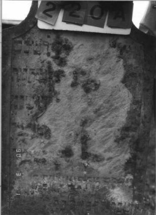 Grabstein 220 (Index: 100115106) Material: Sandstein Zustand: sehr stark verwittert mit sehr starkem Textverlust Maße HxBxT: 151x62x9 cm Beschreibung: Stele mit Hufeisenbogen: Grabstein 220A