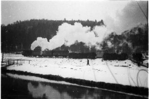 Lok 141, Zug 52, Ausfahrt Bronnen Haltepunkt