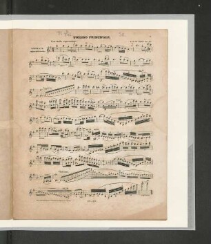 Violino Principale.