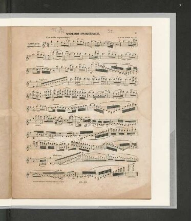 Violino Principale.