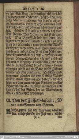 CII. Von des Fusses Musculis, Adern und Sennen oder Nerven