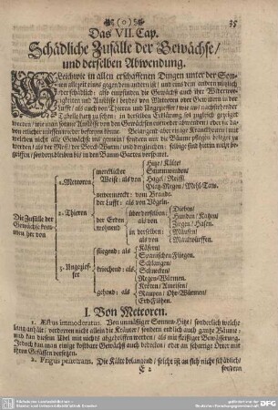 Das VII. Cap. Schädliche Zufälle der Gewächse/ und derselben Abwendung.
