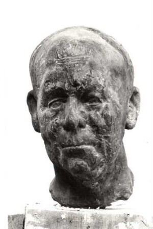Porträt Peter Ludwig