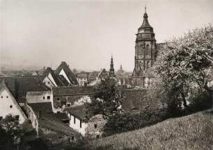 Pirna vom Schlossberg gesehen mit der Stadtkirche St. Marien