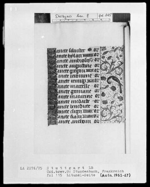 Lateinisch-französisches Stundenbuch — Bordüre mit Vogel, Folio 115 recto