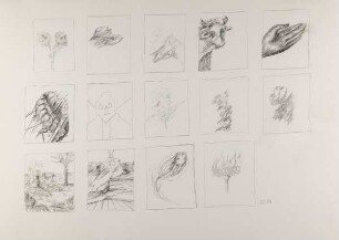 Ohne Titel (14 Bildstudien III)