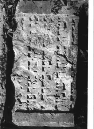 Grabstein 236 (Index: 100110524) Zustand: zwei zusammengehörige Fragmente, sehr stark verwittert mit großem Textverlust, ehemals schwarze Schrift Maße HxBxT: 45x82x11 cm Beschreibung: Schriftfeld eingetieft (Fragmente) Besonderheit: Maße des zweiten Fragmentes: 41/83/11: Grabstein 236 (Detailaufnahme 3)