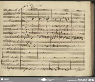 Quintetto: "Sie blüht so schön"