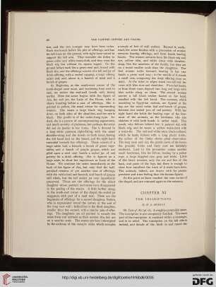 XI: The Inscriptions (M.A. Murray)