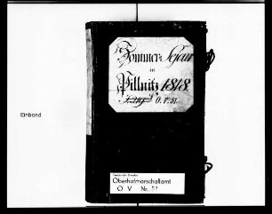 In Pillnitz geführte Hoftagebücher, 1818