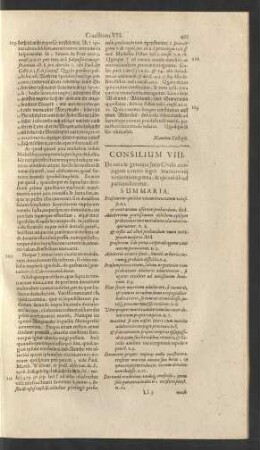 Consilium VIII.