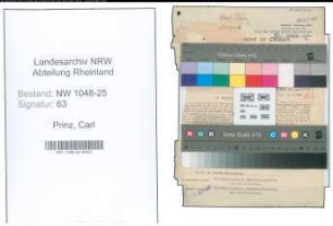 Entnazifizierung Carl Prinz , geb. 06.02.1901 (Drogist)
