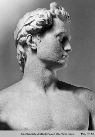 Apoll (Allegorie auf Cosimo I. de' Medici)