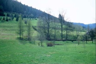 Landschaft um Gebersdorf, Grünland, Ackerterrassen
