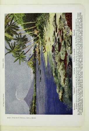 Vulkaninseln des Indischen Archipels mit Korallenstrand. Landschaft bei Ternate an der Molukkenstraße östlich von Gilolo