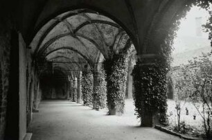 Stralsund, Johanniskloster : Stralsund. Kreuzgang des ehemaligen Franziskanerklosters Sankt Johannis